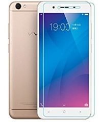 Vivo Y66 Tafan Glass