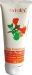 Patanjali Colour Protection Hair Conditioner  (100 g)