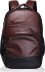 F Gear Luxur 25 l Backpack  (Brown)