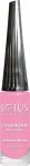 Lotus Colour Dew Nail Enamel Pink Bliss 950 Pink